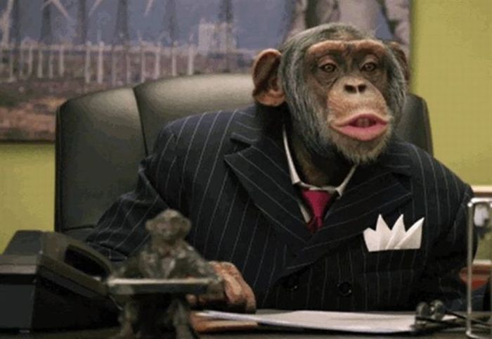 Image result for monkey business