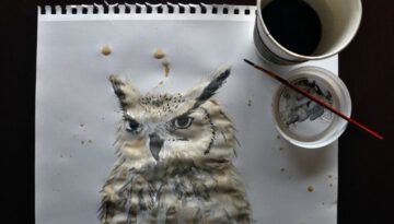 owl-coffee