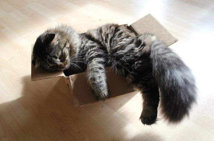 Too Big for Box