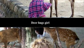 deer-hug