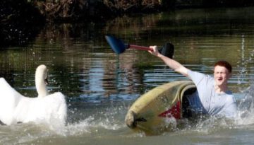 swan-tips-kayak