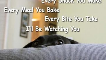 watching-you