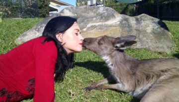 kangaroo-kiss