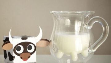 milk-jug