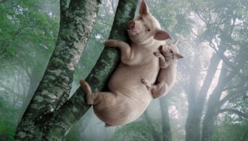 pigs-on-a-tree
