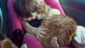 cat-sleeping-with-baby
