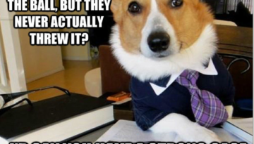 dog-lawyer