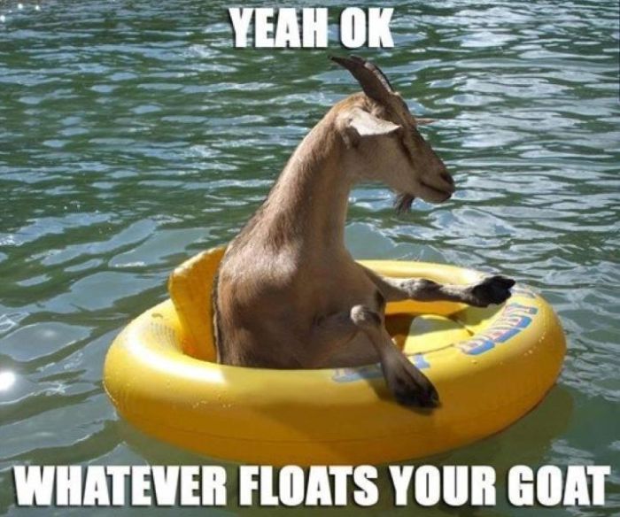 Whatever Floats Your Goat – 1Funny.com