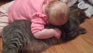 Baby Playing with Docile Cat