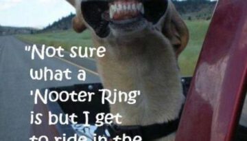 nooter-ring