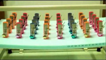 Synchronized Metronomes