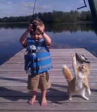 cat goes fishing lachlan