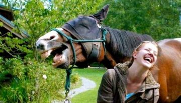 horse-laughing