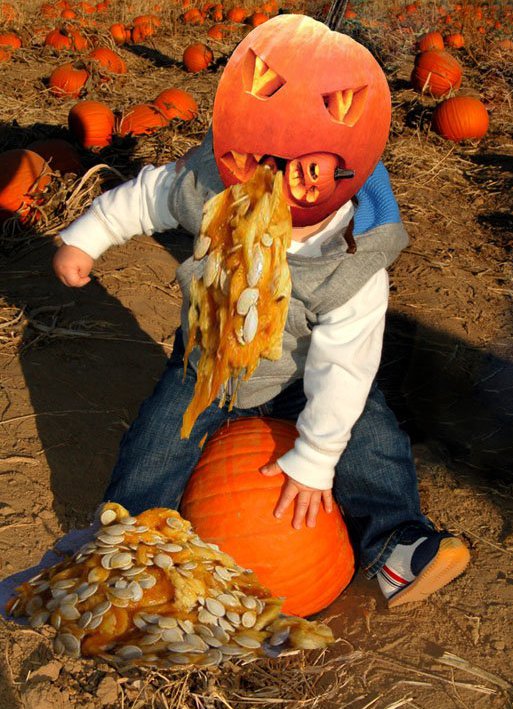 Puking Pumpkins 2 (25 pics) – 1Funny.com