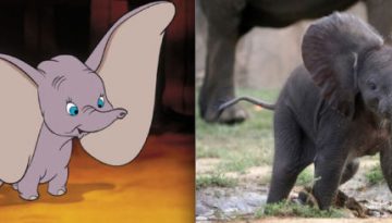 adorable_disney_animals_brought_to_life_640_01