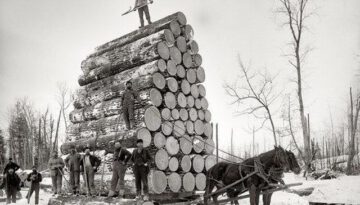 hauling-wood
