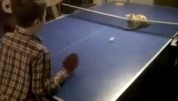 Ping Pong Cat
