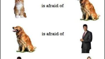 afraid-of