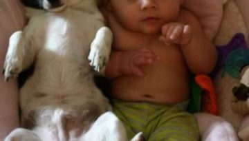 baby-and-dog