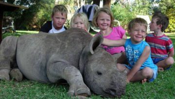 rescued_baby_rhino_is_just_one_of_the_family_640_03
