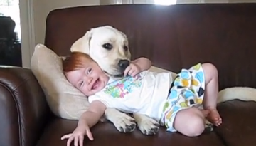 Dog Licks Baby 2   1Funny.com