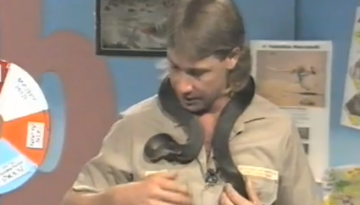 Steve Irwin Stays Calm After Snake Bite   1Funny.com