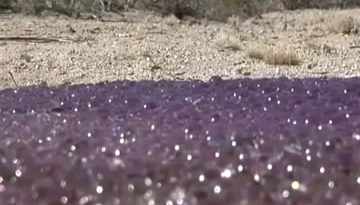 Mysterious Purple Spheres Found in the Desert   1Funny.com
