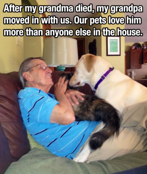 dogs_are_a_great_source_of_unconditional_love_640_27