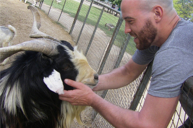 a_petting_zoo_with_a_difference_640_24