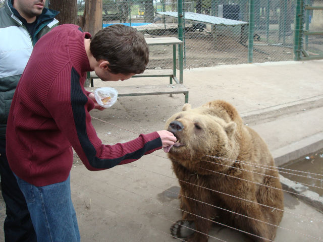 a_petting_zoo_with_a_difference_640_27