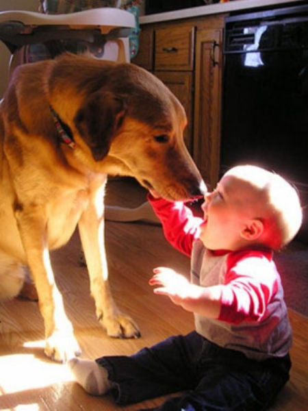 dogs_are_kids_best_buddies_too_640_08