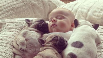 the_most_adorable_photos_of_a_baby_with_bulldog_puppies_640_01