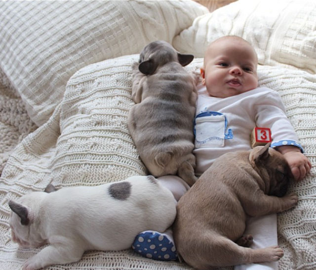 the_most_adorable_photos_of_a_baby_with_bulldog_puppies_640_02