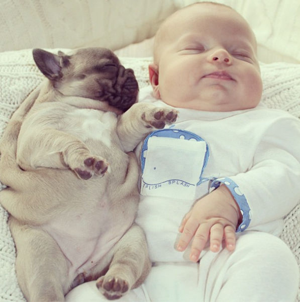 the_most_adorable_photos_of_a_baby_with_bulldog_puppies_640_03