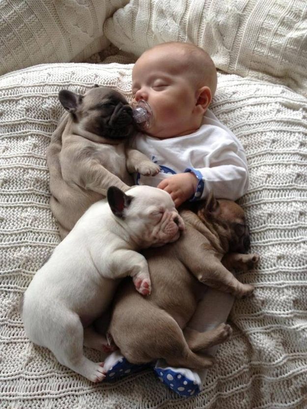 the_most_adorable_photos_of_a_baby_with_bulldog_puppies_640_07