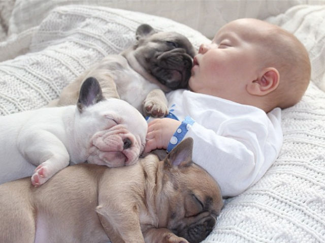 the_most_adorable_photos_of_a_baby_with_bulldog_puppies_640_08
