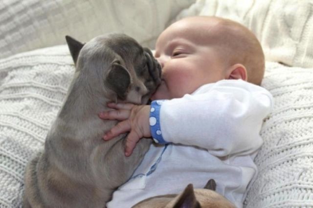 the_most_adorable_photos_of_a_baby_with_bulldog_puppies_640_09