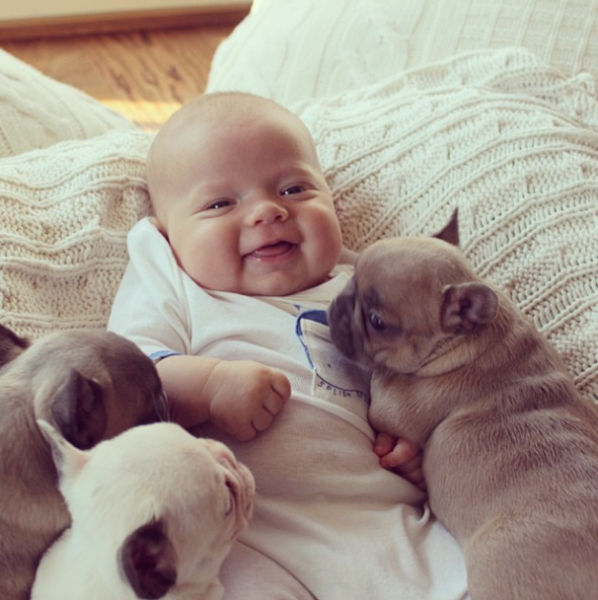 the_most_adorable_photos_of_a_baby_with_bulldog_puppies_640_10
