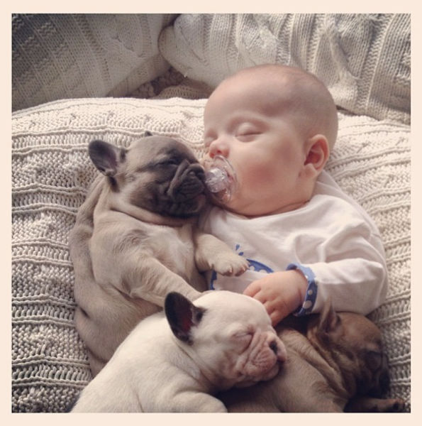 the_most_adorable_photos_of_a_baby_with_bulldog_puppies_640_11