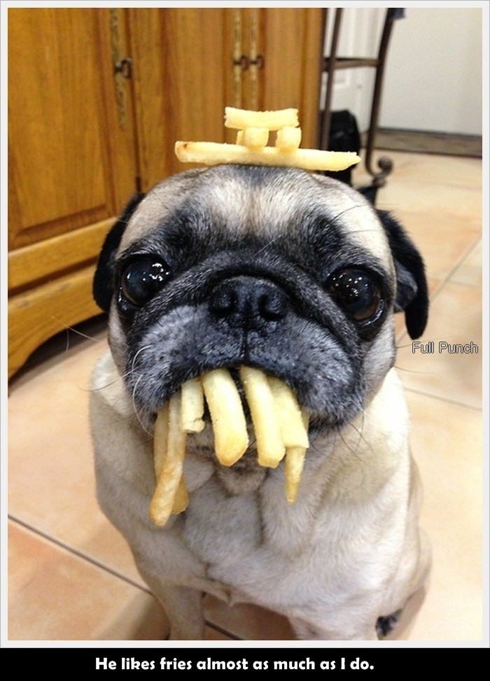 17-He-likes-fries-almost-as-much-as-I-do.
