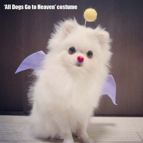 all-dogs-go-to-heaven-costume-catasters-1