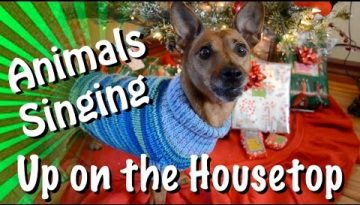 Talking Animals Sing ‘Up on the Housetop’