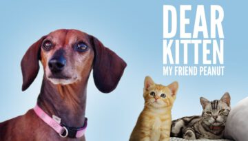 Dear Kitten: My Friend Peanut