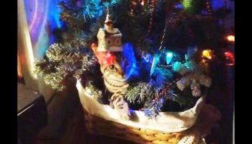Cats vs. Christmas Trees