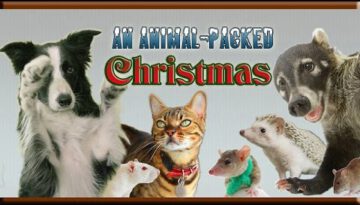 An Animal-Packed Christmas!
