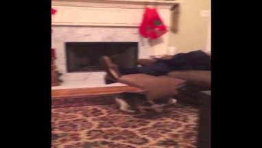 Christmas Kitty Surprises Man on Recliner