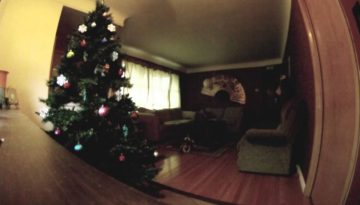 Dog Home Alone with Christmas Tree
