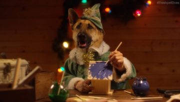 Santa’s Elves – Dogs and Cats