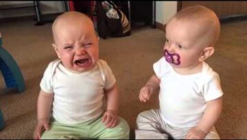 Twin Baby Girls Fight over Pacifier
