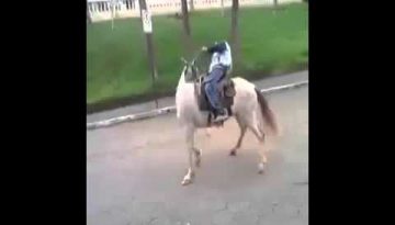 Drunk Man on a Horse